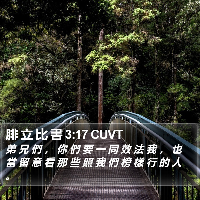 腓 立 比 書 3:17 CUVT Bible Study