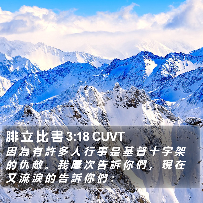 腓 立 比 書 3:18 CUVT Bible Study