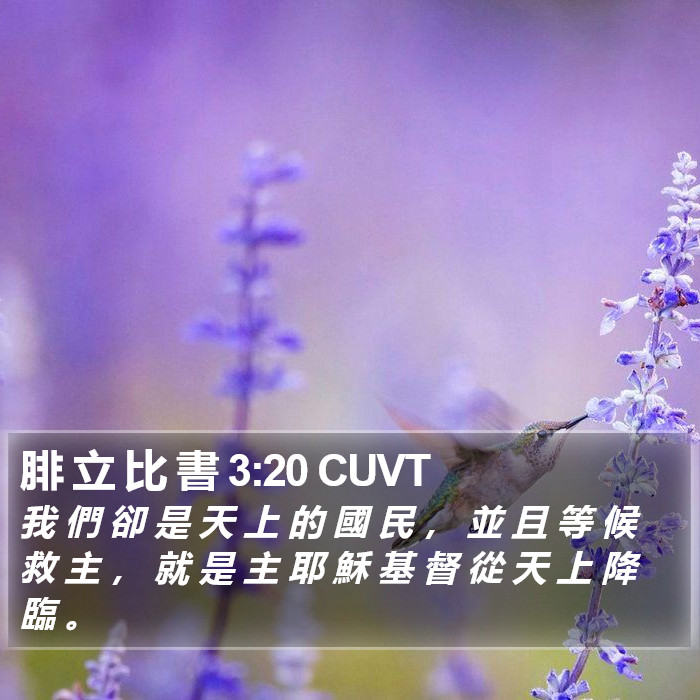 腓 立 比 書 3:20 CUVT Bible Study