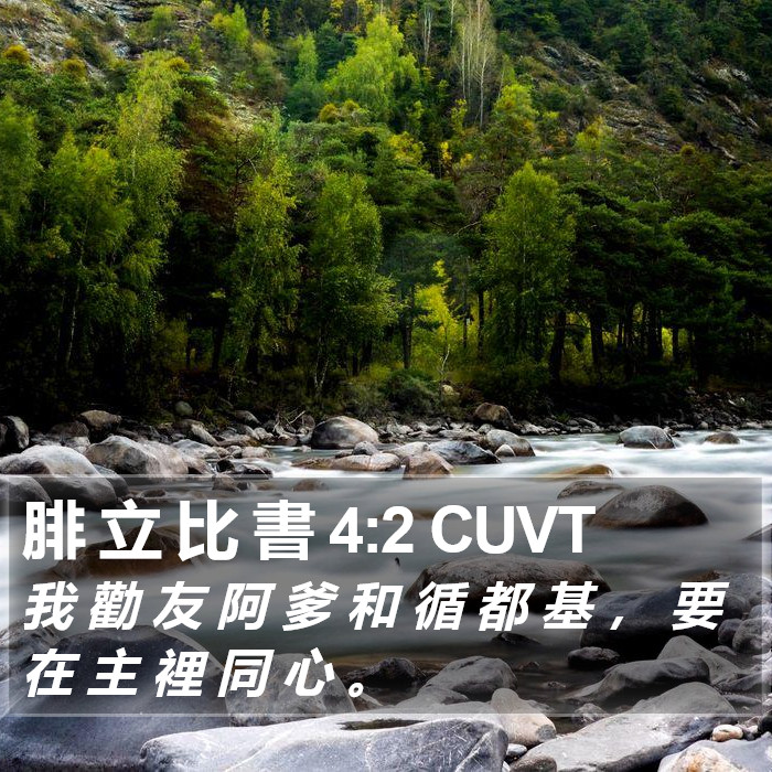 腓 立 比 書 4:2 CUVT Bible Study