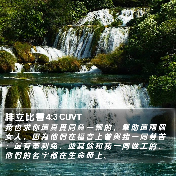 腓 立 比 書 4:3 CUVT Bible Study