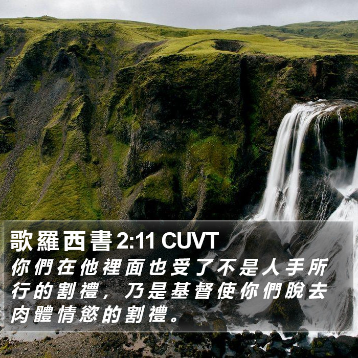 歌 羅 西 書 2:11 CUVT Bible Study