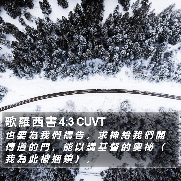 歌 羅 西 書 4:3 CUVT Bible Study
