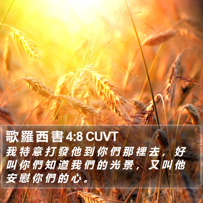 歌 羅 西 書 4:8 CUVT Bible Study