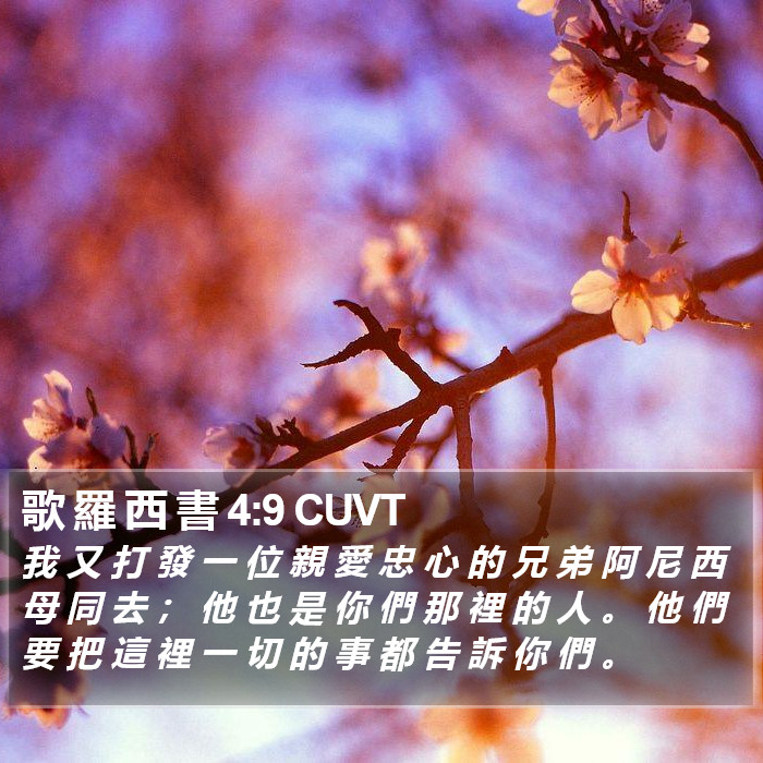 歌 羅 西 書 4:9 CUVT Bible Study