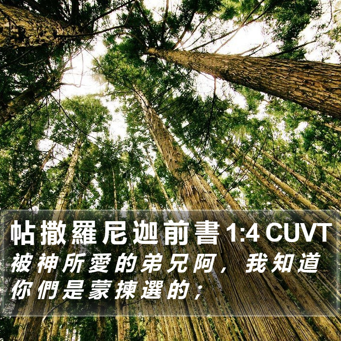 帖 撒 羅 尼 迦 前 書 1:4 CUVT Bible Study