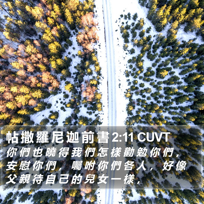 帖 撒 羅 尼 迦 前 書 2:11 CUVT Bible Study