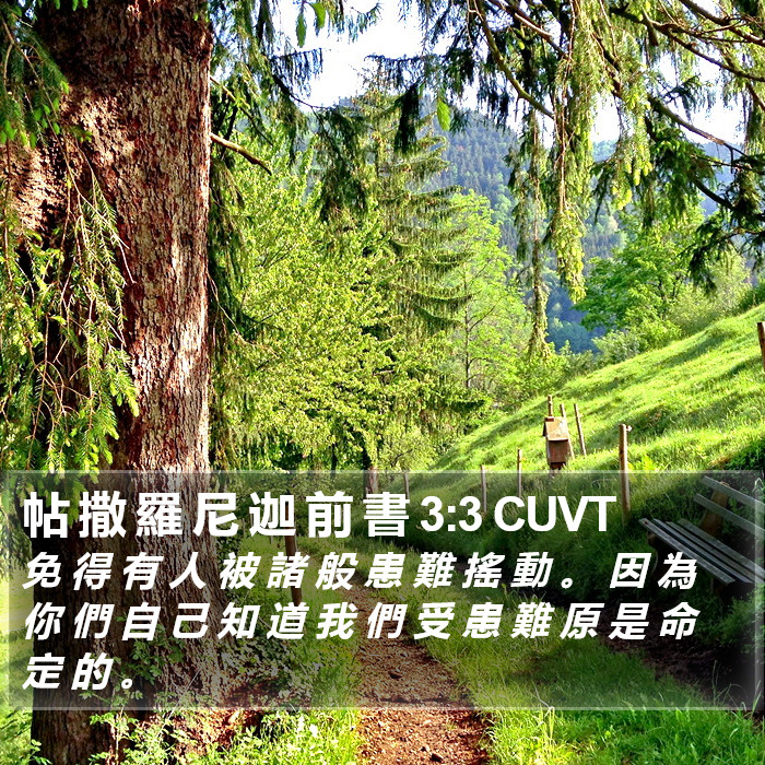 帖 撒 羅 尼 迦 前 書 3:3 CUVT Bible Study