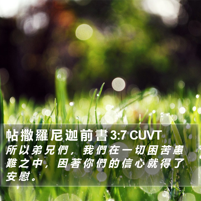 帖 撒 羅 尼 迦 前 書 3:7 CUVT Bible Study