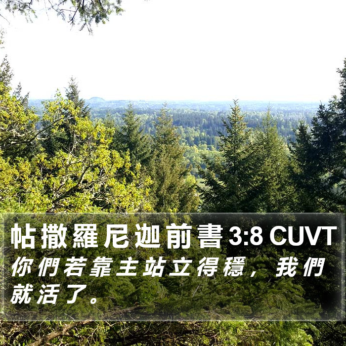 帖 撒 羅 尼 迦 前 書 3:8 CUVT Bible Study