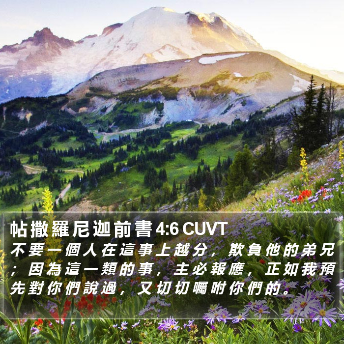 帖 撒 羅 尼 迦 前 書 4:6 CUVT Bible Study