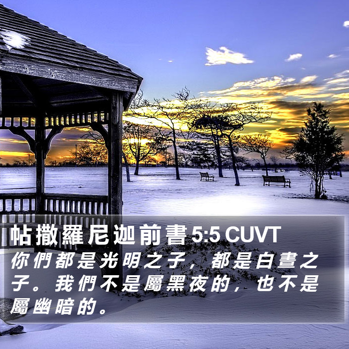 帖 撒 羅 尼 迦 前 書 5:5 CUVT Bible Study