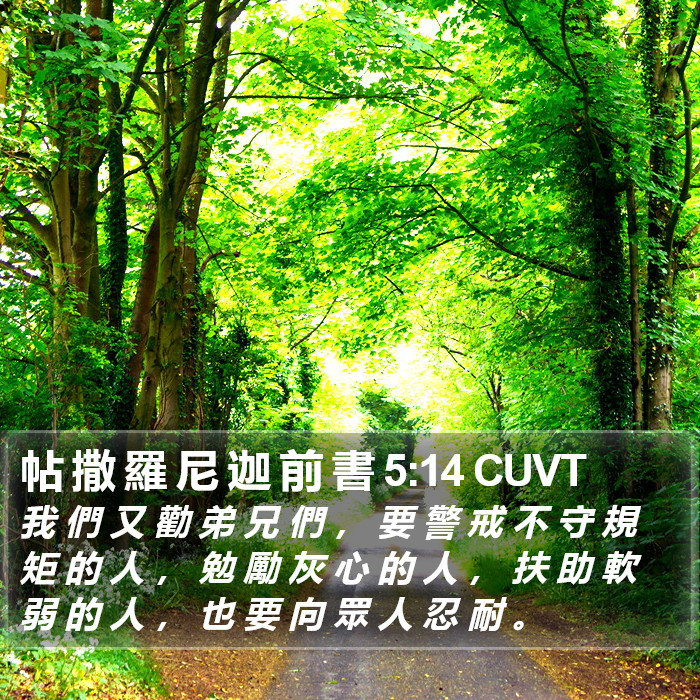 帖 撒 羅 尼 迦 前 書 5:14 CUVT Bible Study