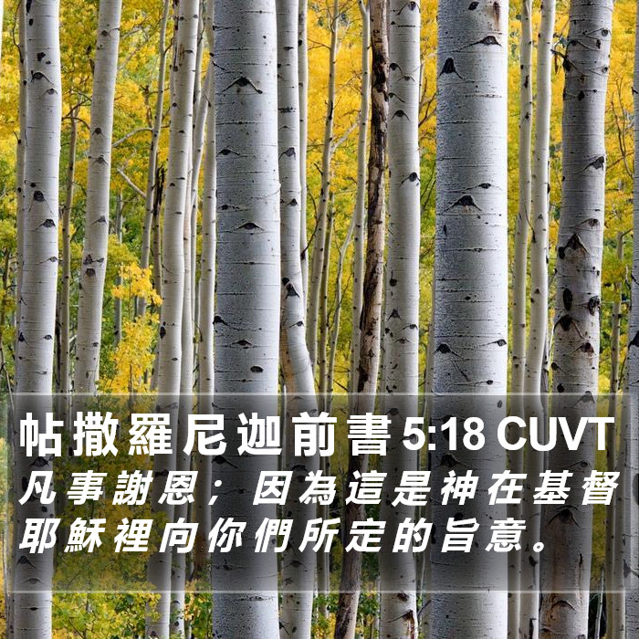 帖 撒 羅 尼 迦 前 書 5:18 CUVT Bible Study