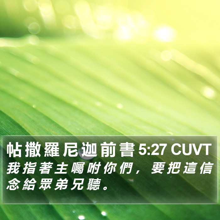 帖 撒 羅 尼 迦 前 書 5:27 CUVT Bible Study