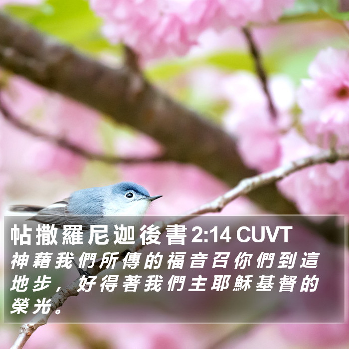 帖 撒 羅 尼 迦 後 書 2:14 CUVT Bible Study