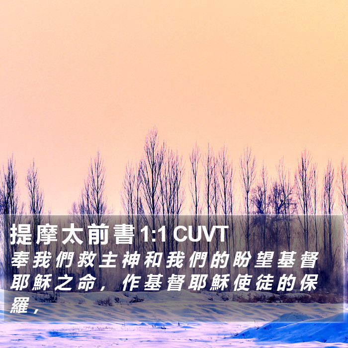 提 摩 太 前 書 1:1 CUVT Bible Study