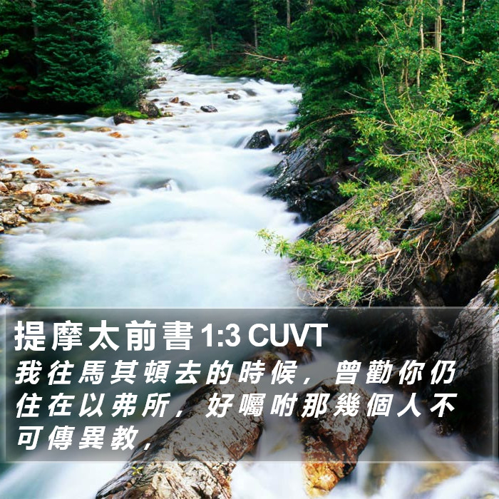 提 摩 太 前 書 1:3 CUVT Bible Study