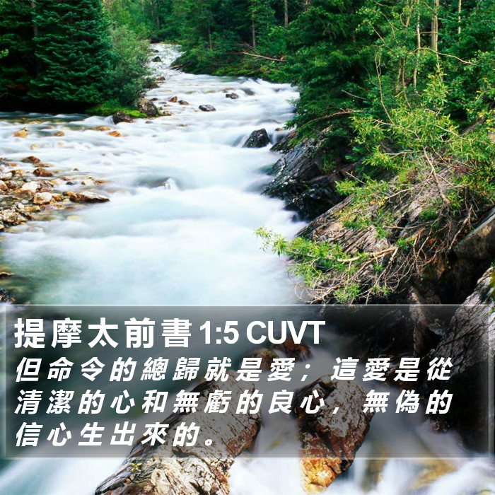 提 摩 太 前 書 1:5 CUVT Bible Study