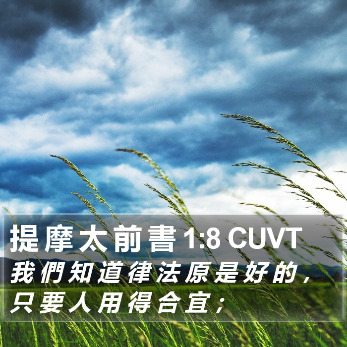 提 摩 太 前 書 1:8 CUVT Bible Study