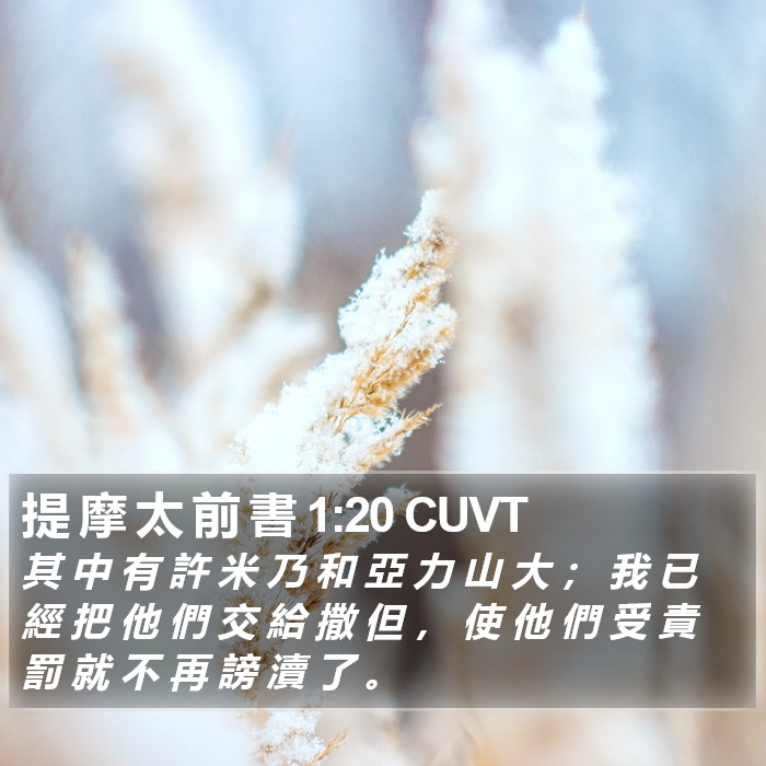 提 摩 太 前 書 1:20 CUVT Bible Study