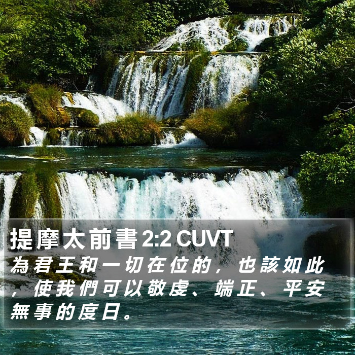 提 摩 太 前 書 2:2 CUVT Bible Study
