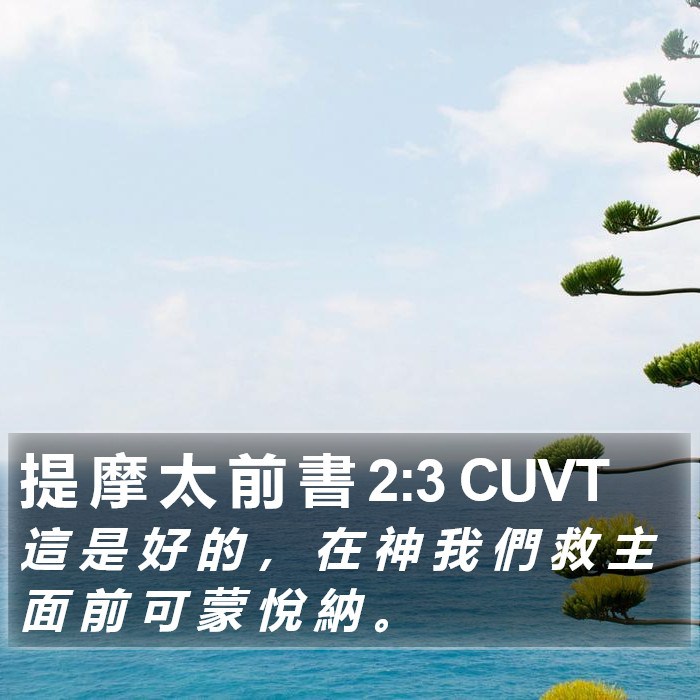 提 摩 太 前 書 2:3 CUVT Bible Study