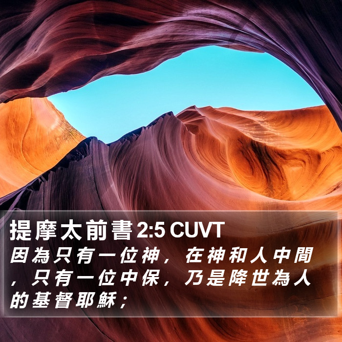 提 摩 太 前 書 2:5 CUVT Bible Study