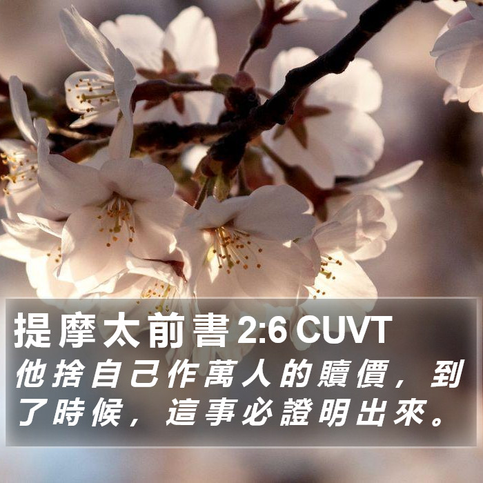 提 摩 太 前 書 2:6 CUVT Bible Study