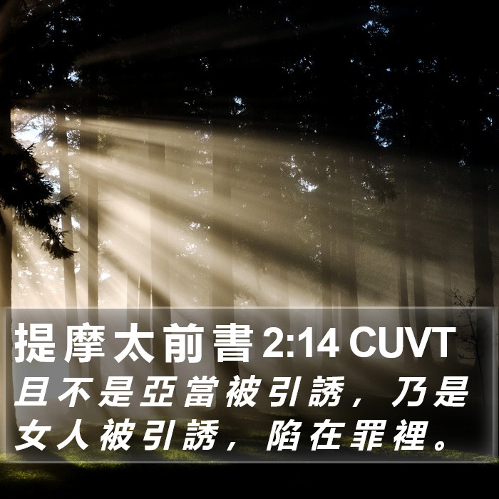 提 摩 太 前 書 2:14 CUVT Bible Study