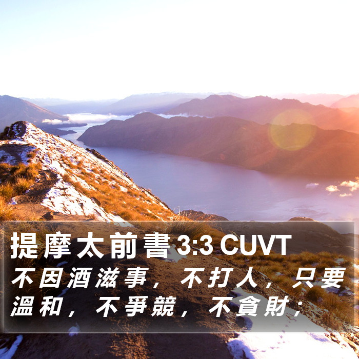 提 摩 太 前 書 3:3 CUVT Bible Study