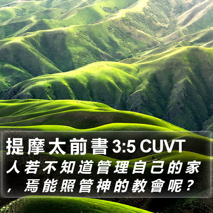 提 摩 太 前 書 3:5 CUVT Bible Study