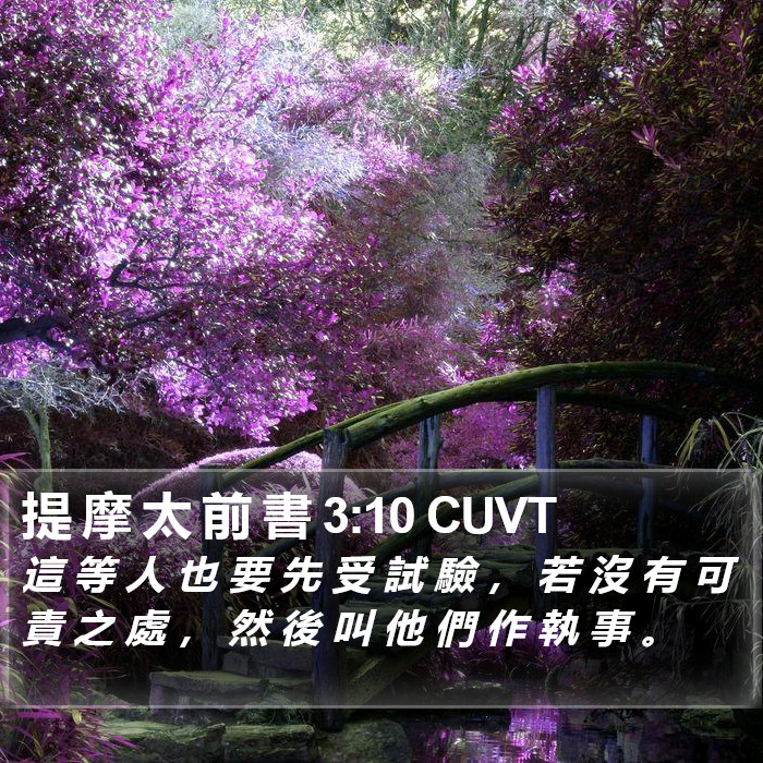 提 摩 太 前 書 3:10 CUVT Bible Study