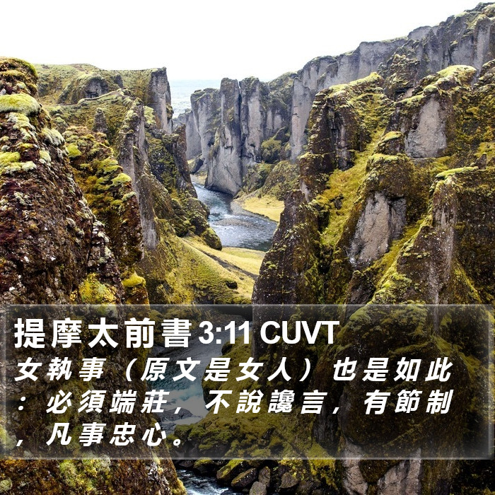 提 摩 太 前 書 3:11 CUVT Bible Study