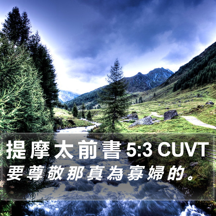 提 摩 太 前 書 5:3 CUVT Bible Study