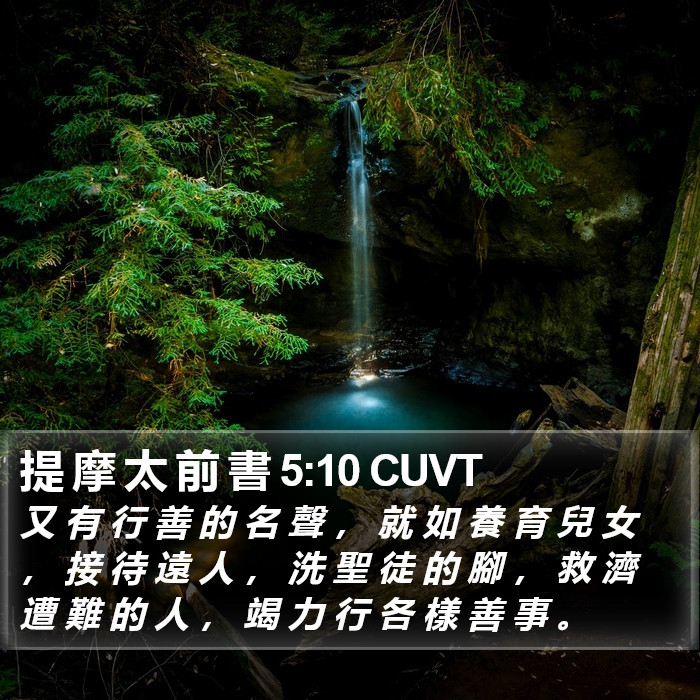 提 摩 太 前 書 5:10 CUVT Bible Study