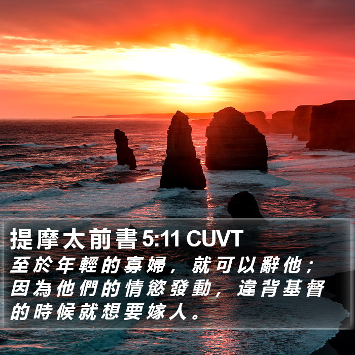 提 摩 太 前 書 5:11 CUVT Bible Study