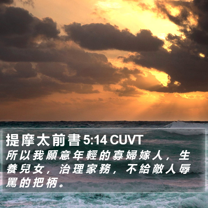 提 摩 太 前 書 5:14 CUVT Bible Study