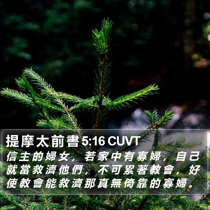 提 摩 太 前 書 5:16 CUVT Bible Study