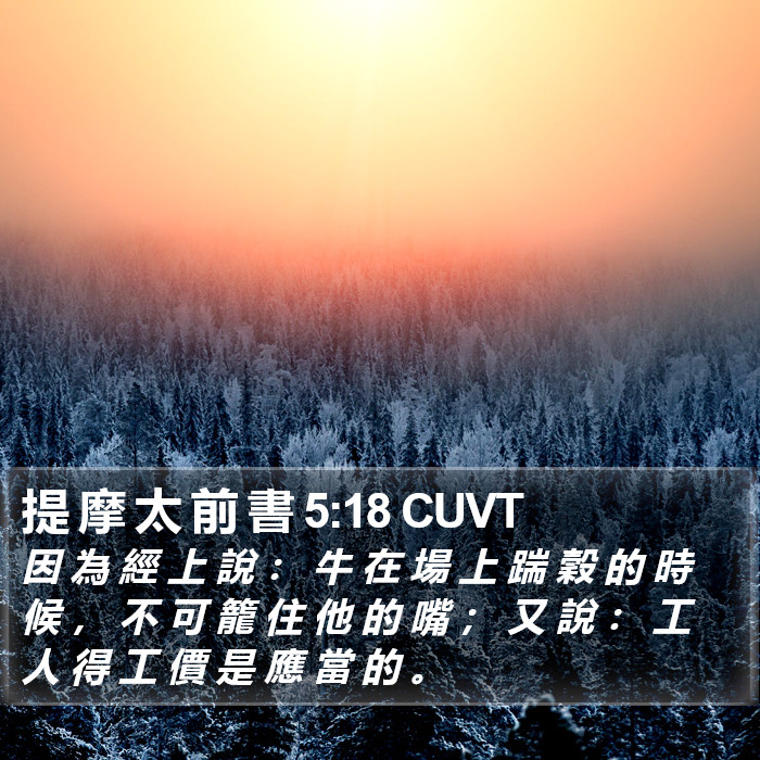 提 摩 太 前 書 5:18 CUVT Bible Study