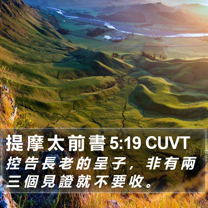 提 摩 太 前 書 5:19 CUVT Bible Study