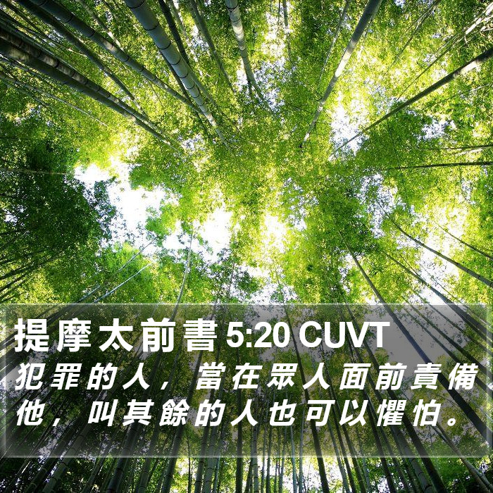 提 摩 太 前 書 5:20 CUVT Bible Study