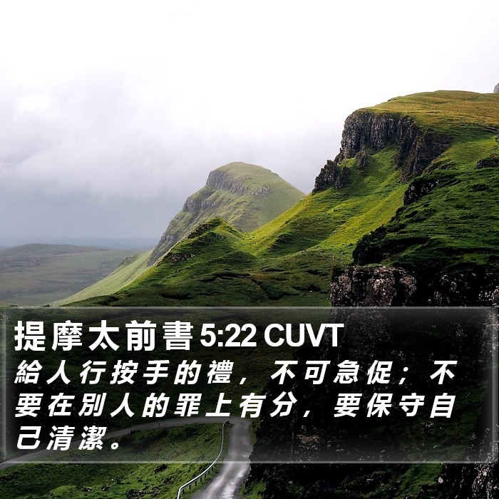 提 摩 太 前 書 5:22 CUVT Bible Study