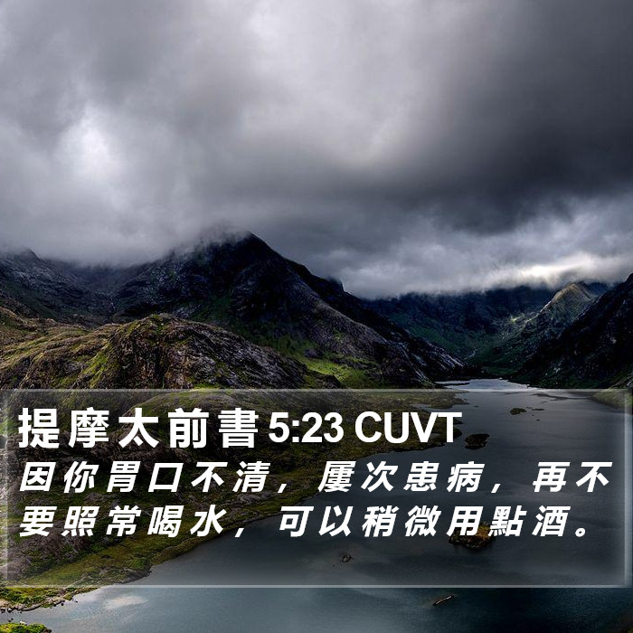 提 摩 太 前 書 5:23 CUVT Bible Study
