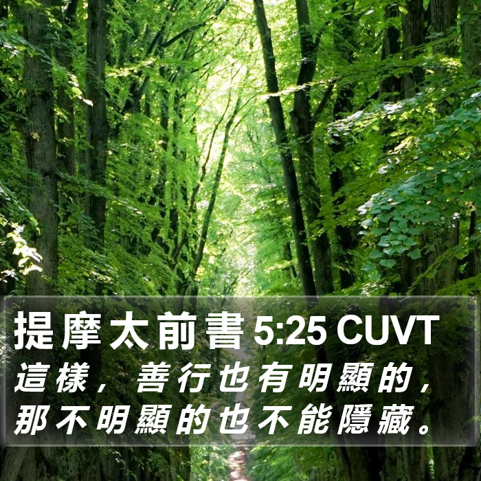 提 摩 太 前 書 5:25 CUVT Bible Study