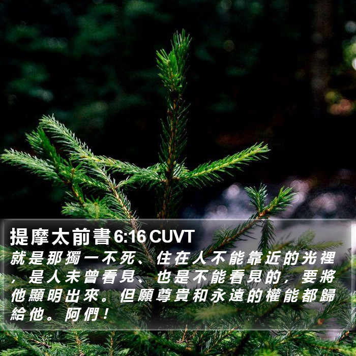 提 摩 太 前 書 6:16 CUVT Bible Study