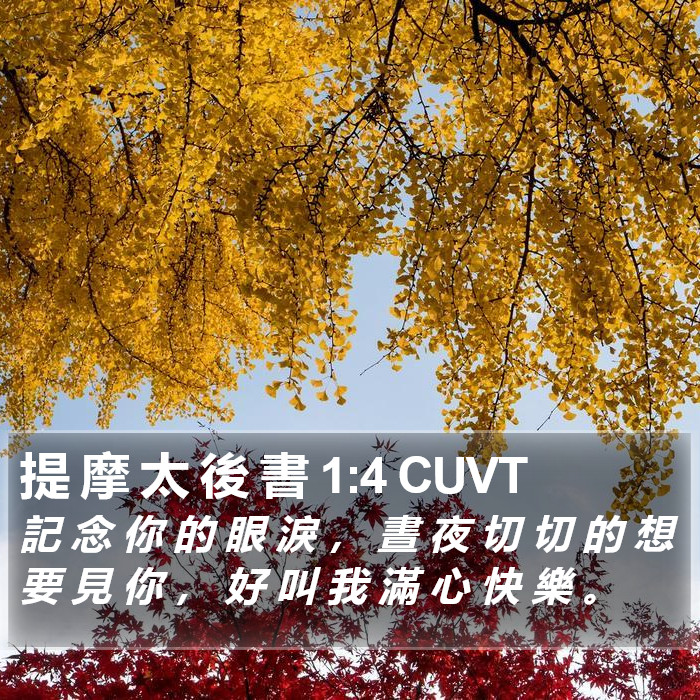 提 摩 太 後 書 1:4 CUVT Bible Study