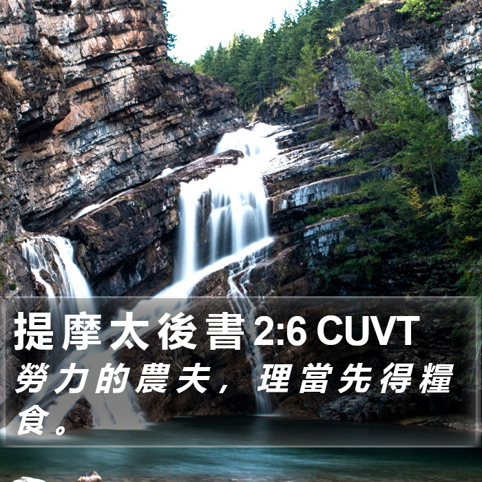 提 摩 太 後 書 2:6 CUVT Bible Study