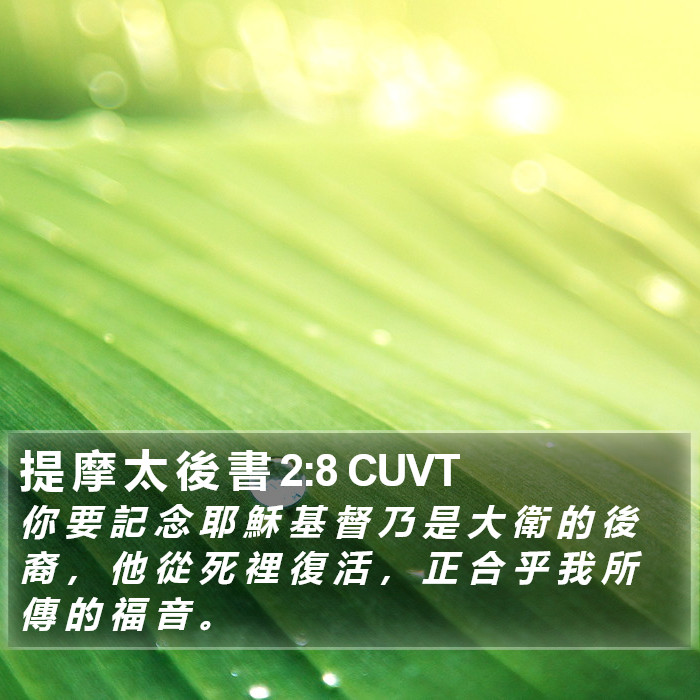 提 摩 太 後 書 2:8 CUVT Bible Study