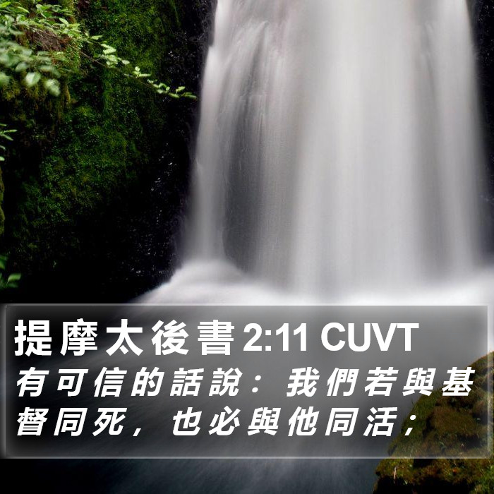 提 摩 太 後 書 2:11 CUVT Bible Study
